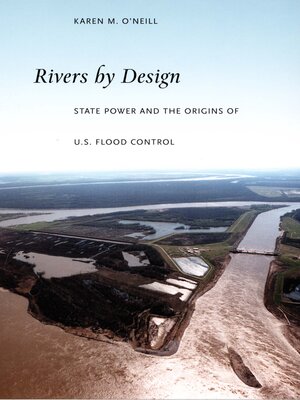 cover image of Rivers by Design